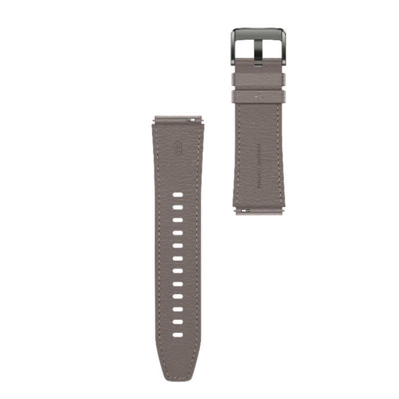 Huawei Watch GT2 Pro - Classic Edition